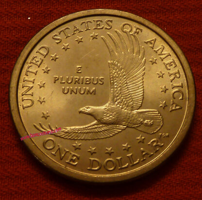 Usa 1 Dollar Nativi Indian km 310 2000 vf