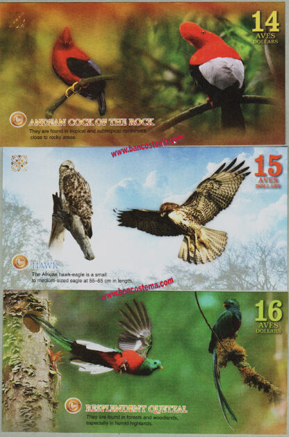 Atlantic Forest 14-15-16 aves dollars set 3 pz. febbraio 2016 paper low nr unc - immagine 2
